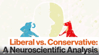Liberal vs Conservative Brains
